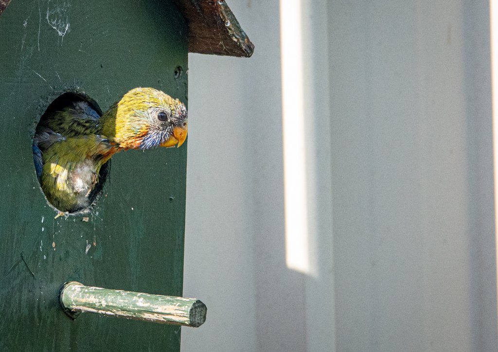 Paul Hughes - Am I Ready for This