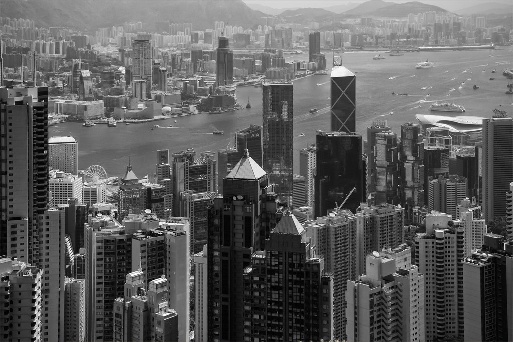 Mark Pedlar - Honkers