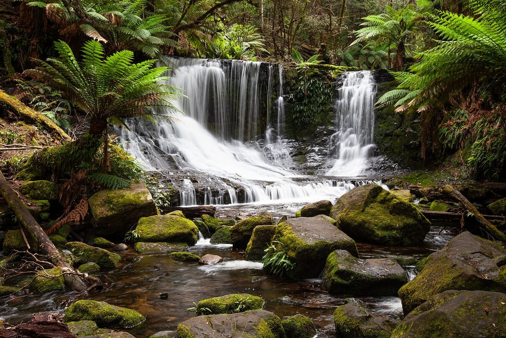 Michael Selge - Tassie falls
