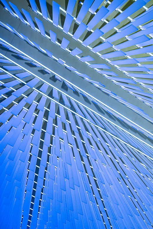 Di Gage - Ceiling Patterns