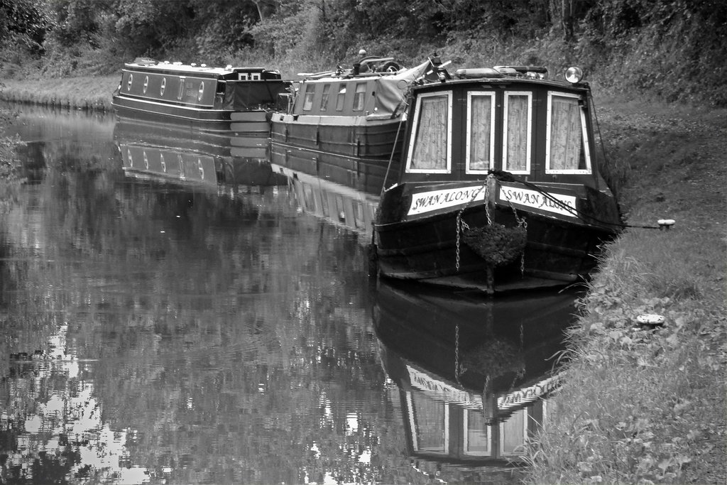 Mark Pedlar - Swan Along