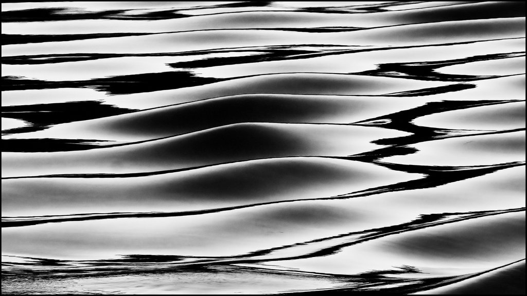 Judy Sara - Curves and Horizontals