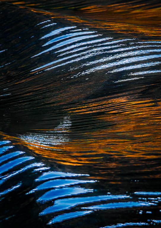 Judy Sara - Blue and Bronze