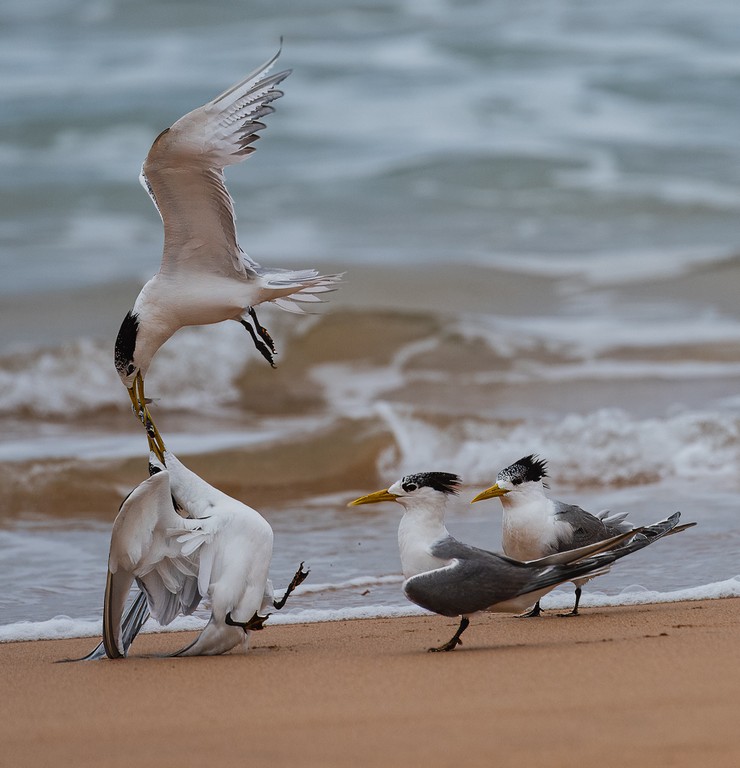 Sam Savage - Breakfast at Waitpinga