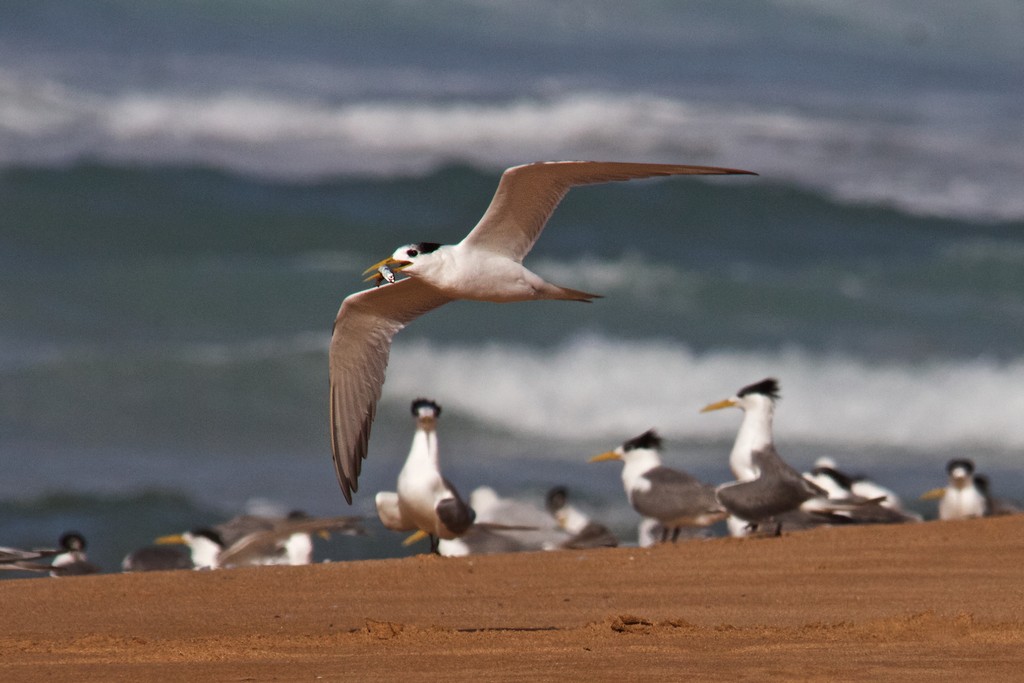 Heather Connolly - Success