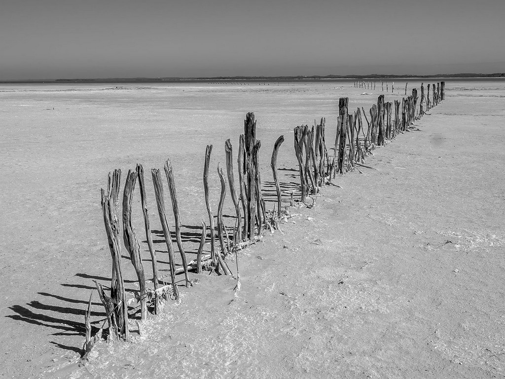 Gail Iskov - Coorong