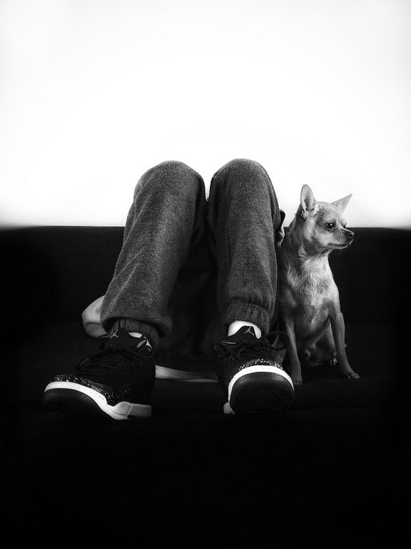 Amanda Goulter - My Little Companion