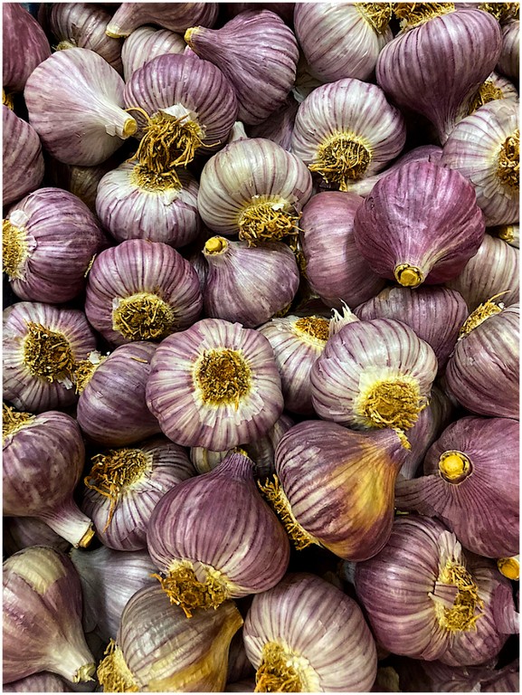 Heather Connolly - Garlic