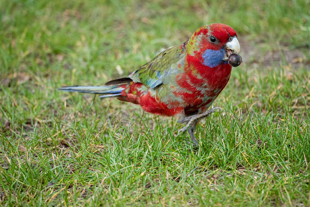 Paul Hughes - I'm Having ALL of It