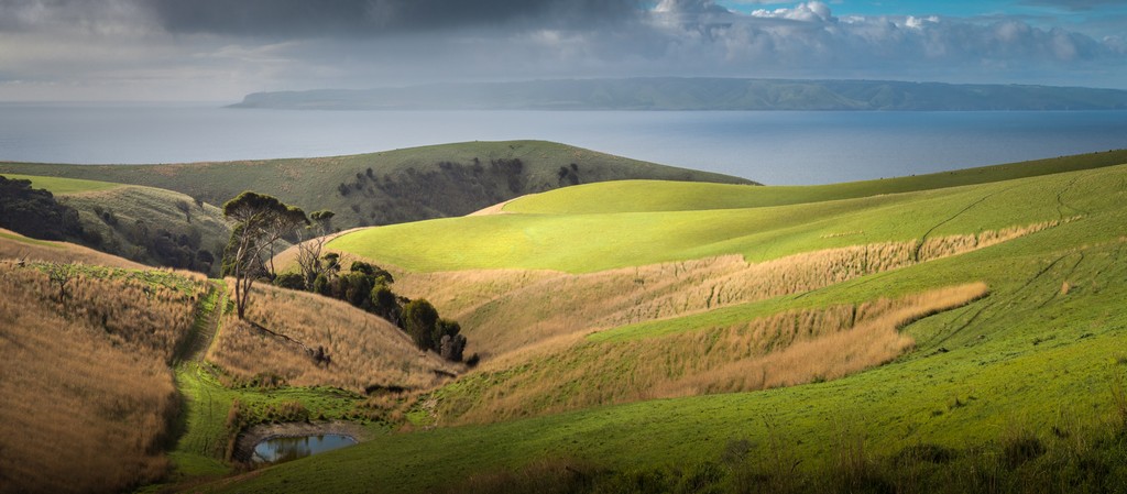 Meredith Retallack - Penneshaw Vista