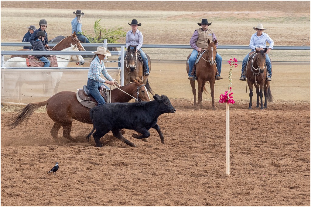 Kerry Malec - Campdraft