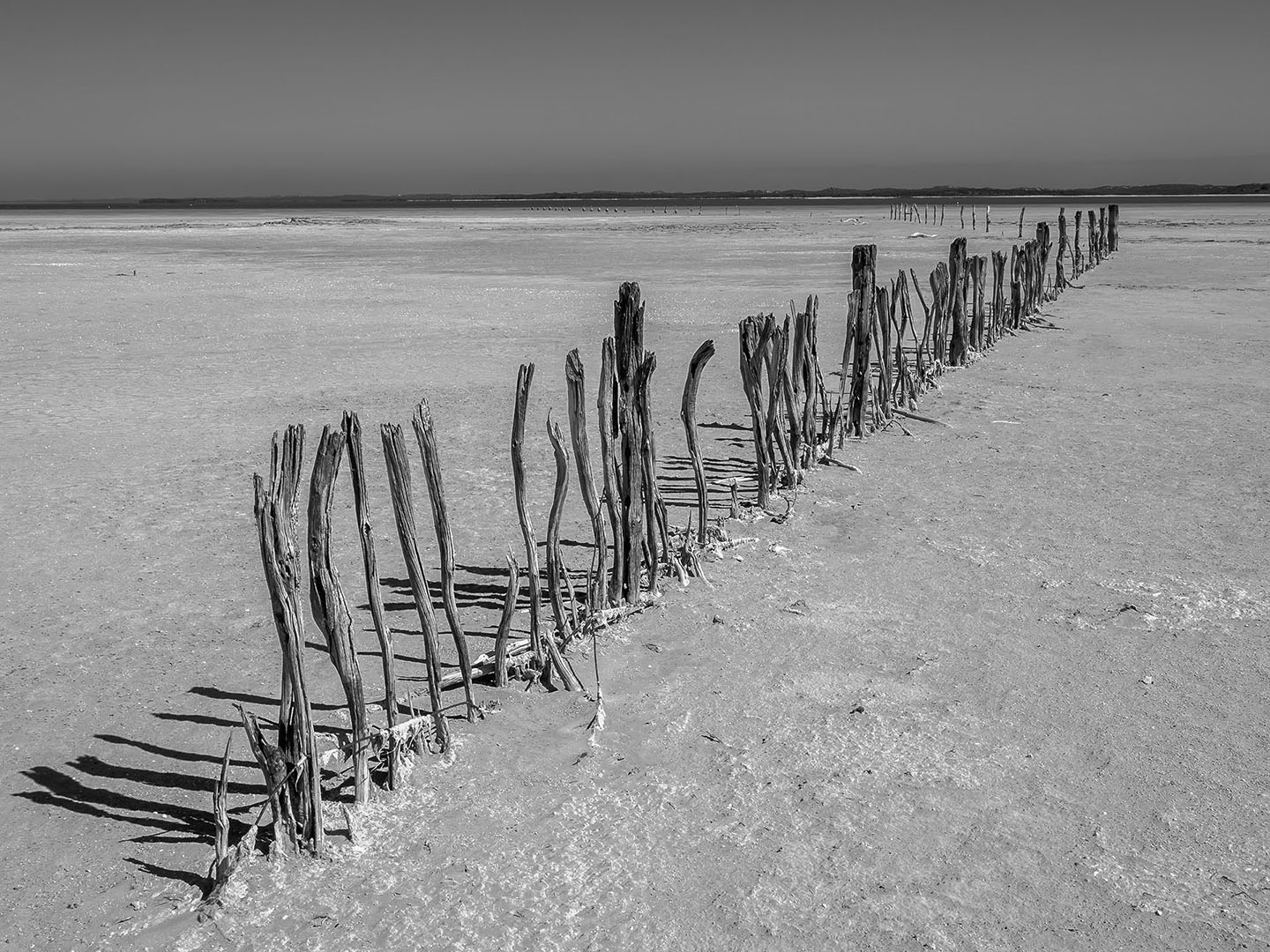 Gail Iskov - Coorong