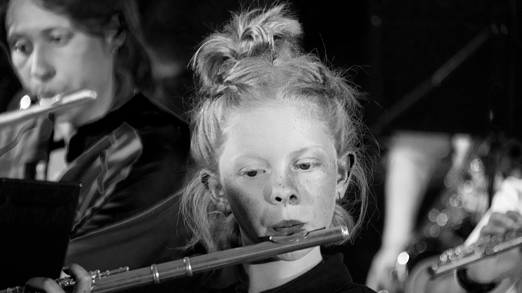 Penny Williams - Concert Performer