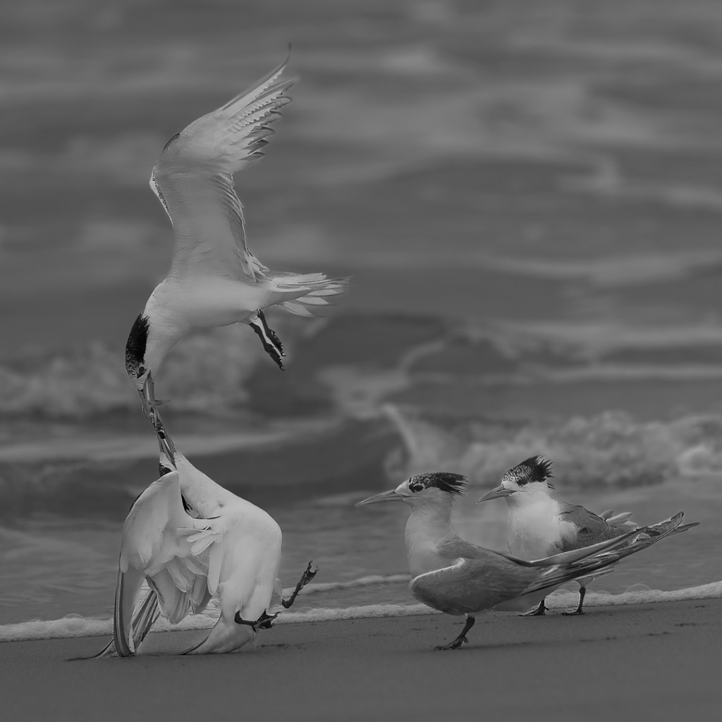 Sam Savage - Balanced