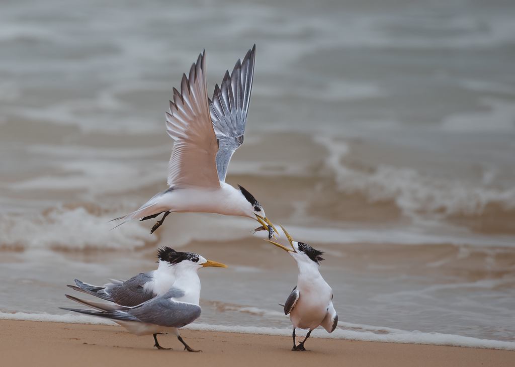 Sam Savage - Breakfast at Waitpinga