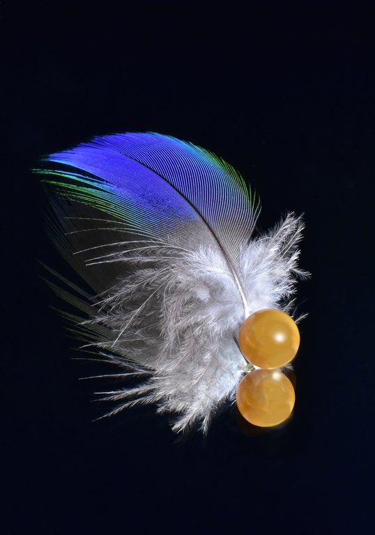 Helen Whitford - The Golden Snitch