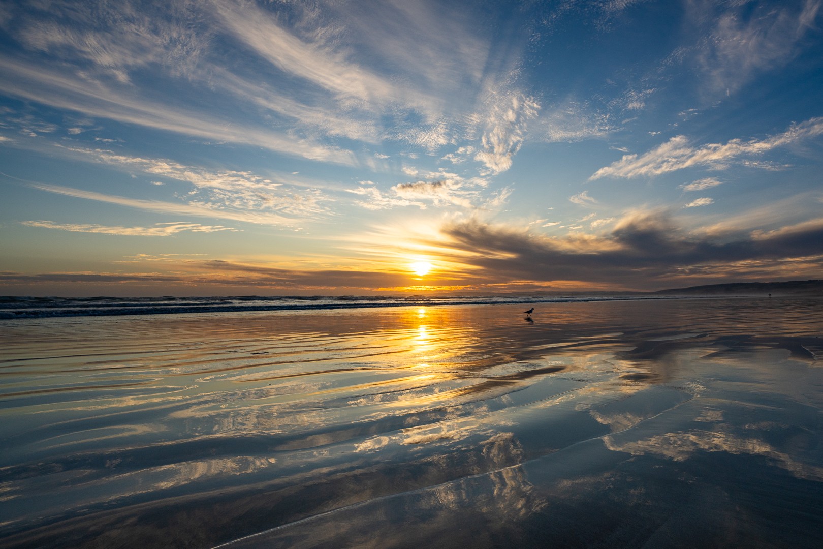 Michael Selge - Reflective Water