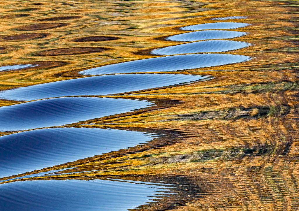 Judy Sara - Autumn Reflections