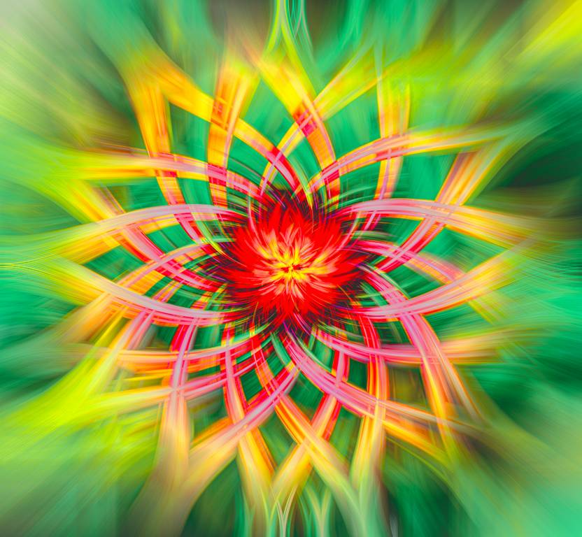 Judy Sara - Daisy Twirl