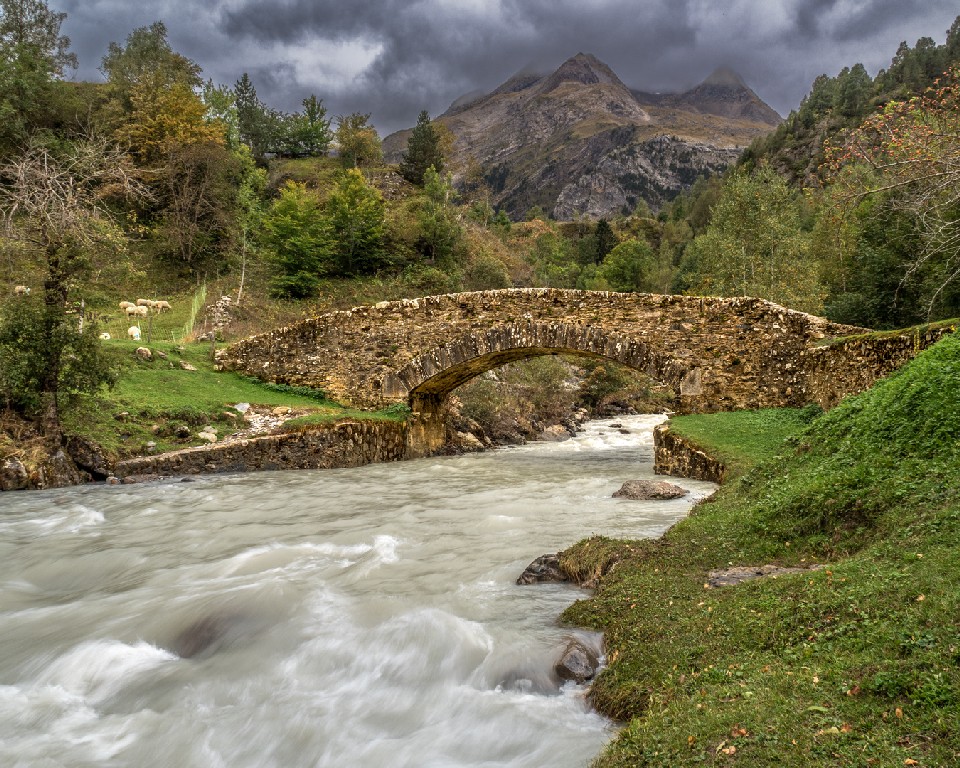 Meredith Retallack - The Safe Way Across