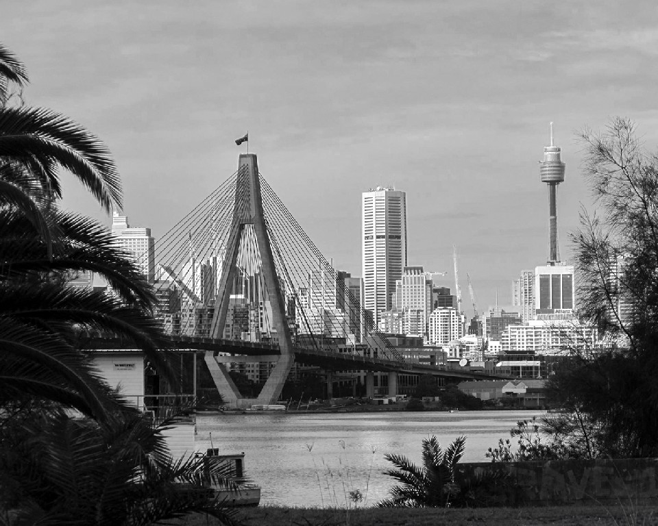 Vicki Kramer - Anzac Bridge
