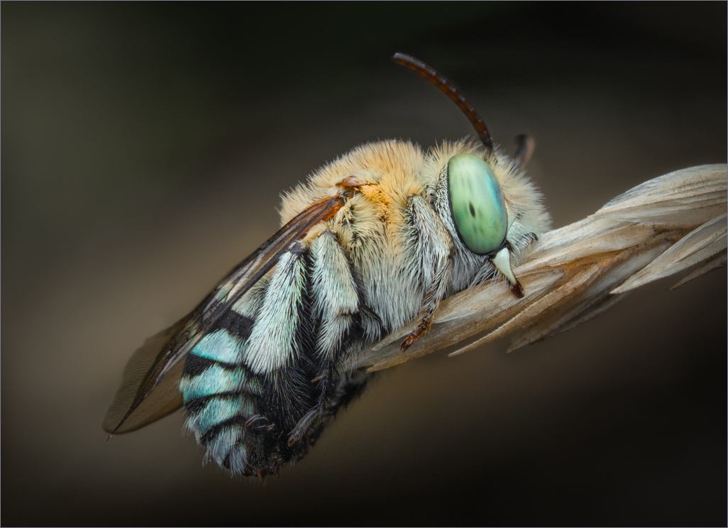 Meredith Retallack - Under Very Close Scrutiny