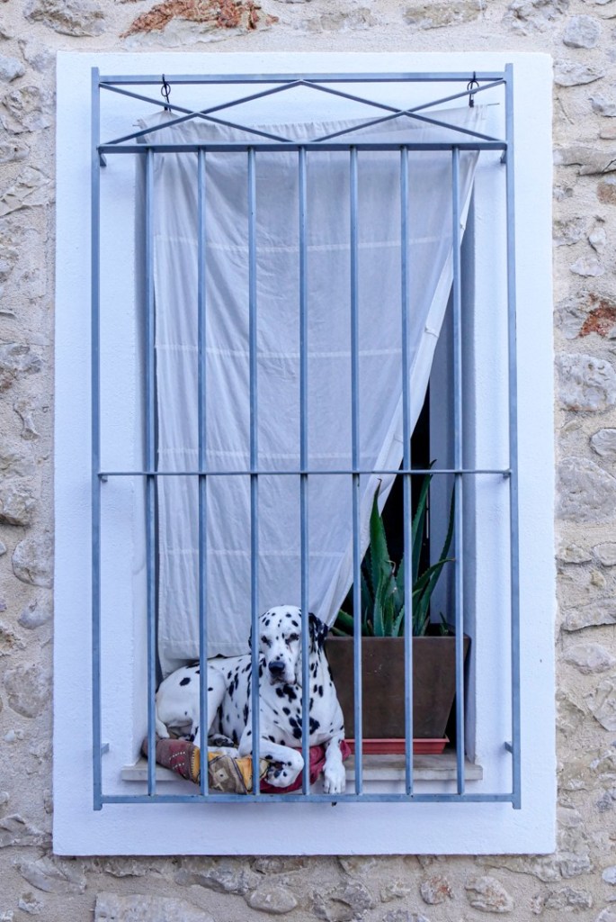 Paul Hughes - Well Spotted