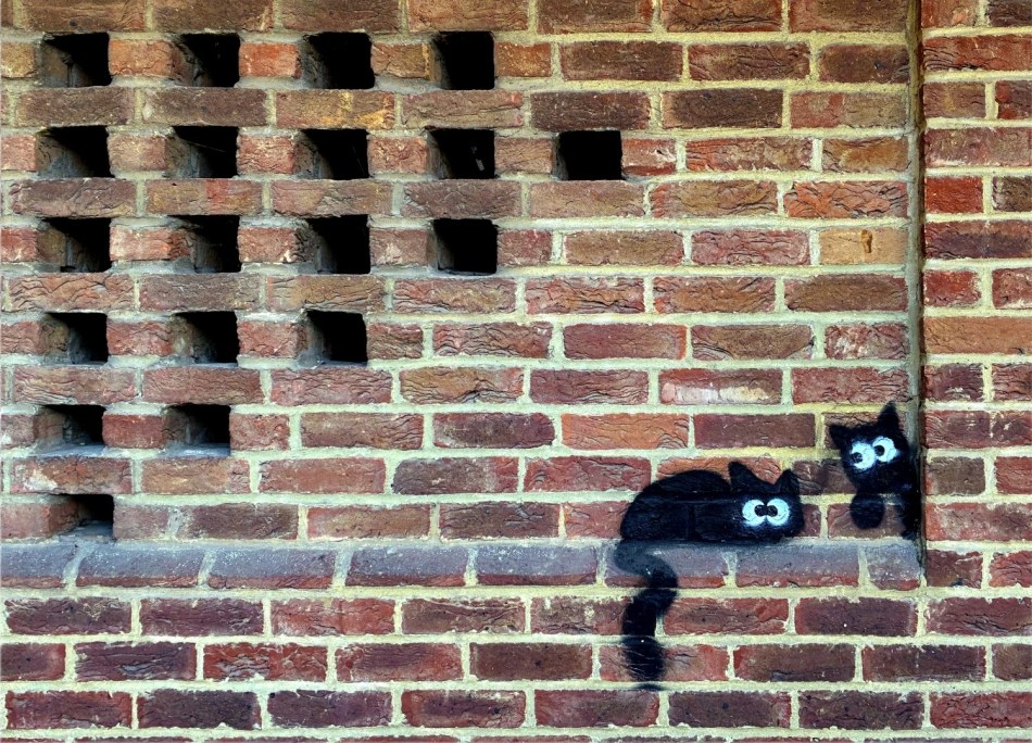 Jenny Pedlar - Cats on Wall