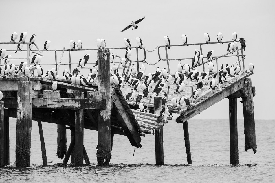 Michael Selge - Room for One More