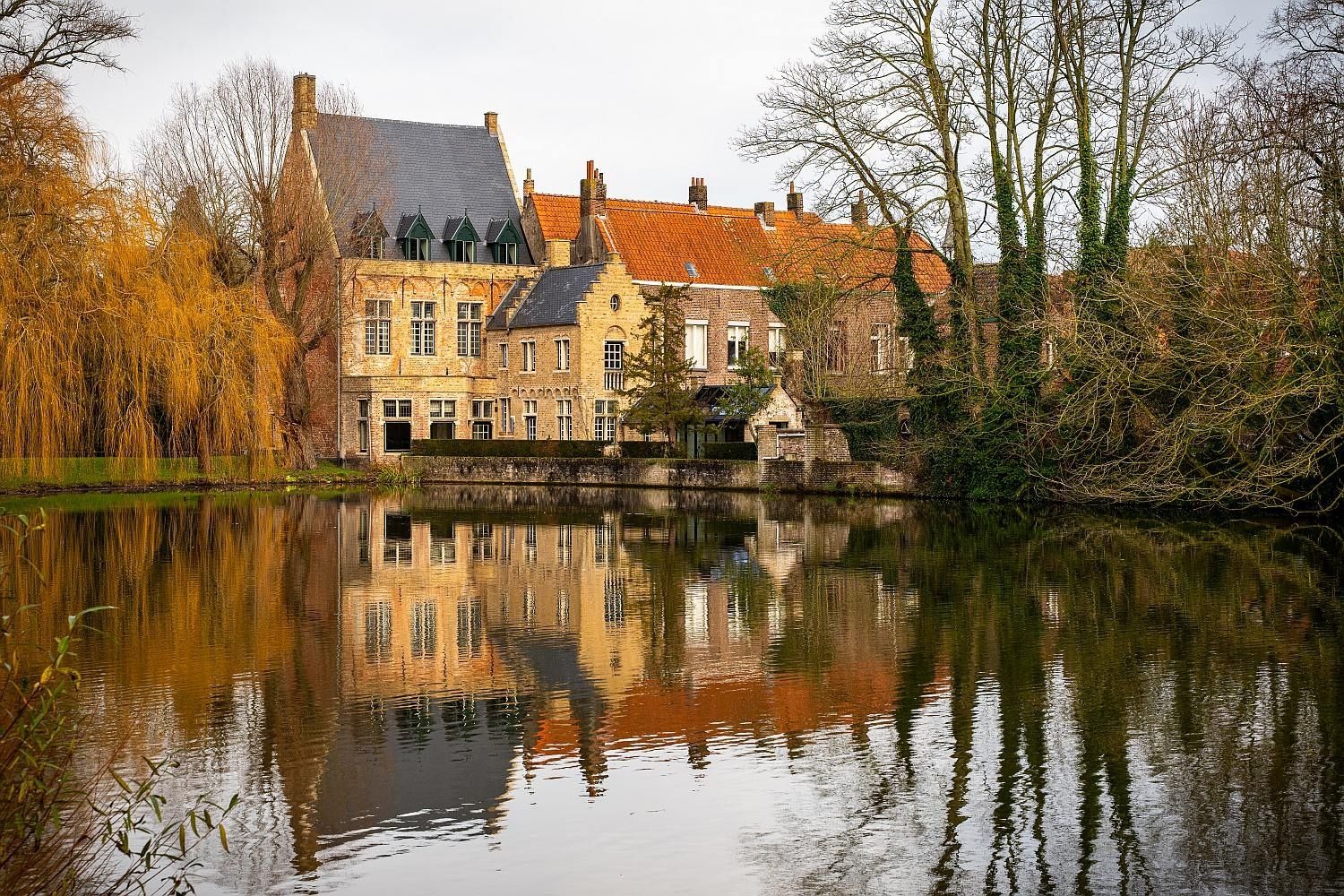 Michael Selge - Bruges