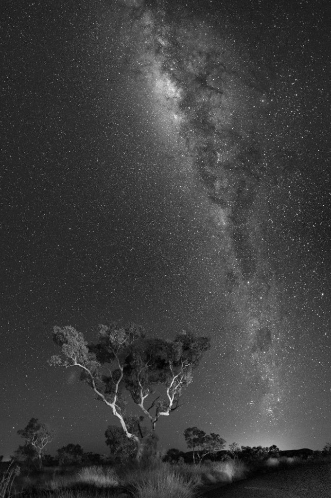Heaven and Earth - Meredith Retallack