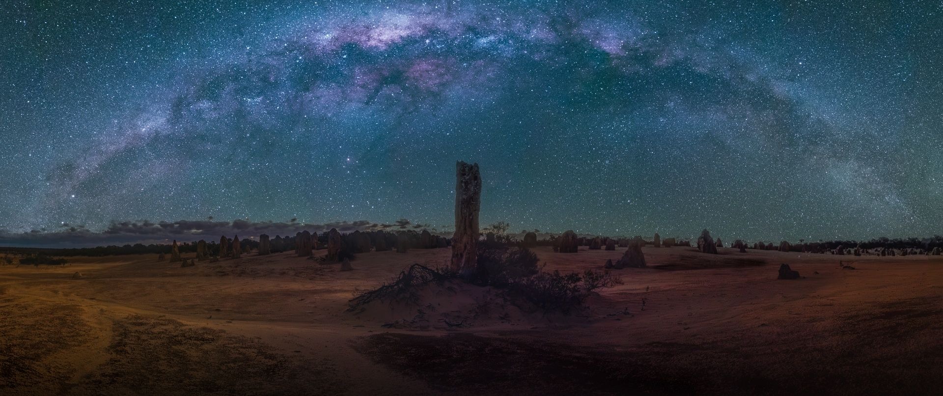 The Heavens Revealed - Meredith Retallack