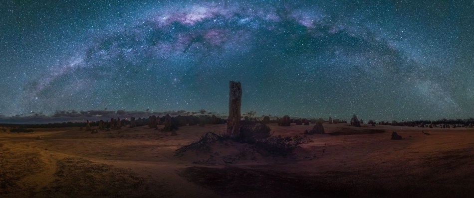 The Heavens Revealed - Meredith Retallack