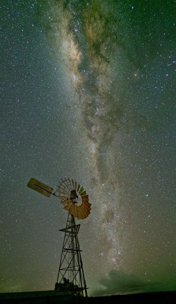 Salute to the Cosmos - Meredith Retallack