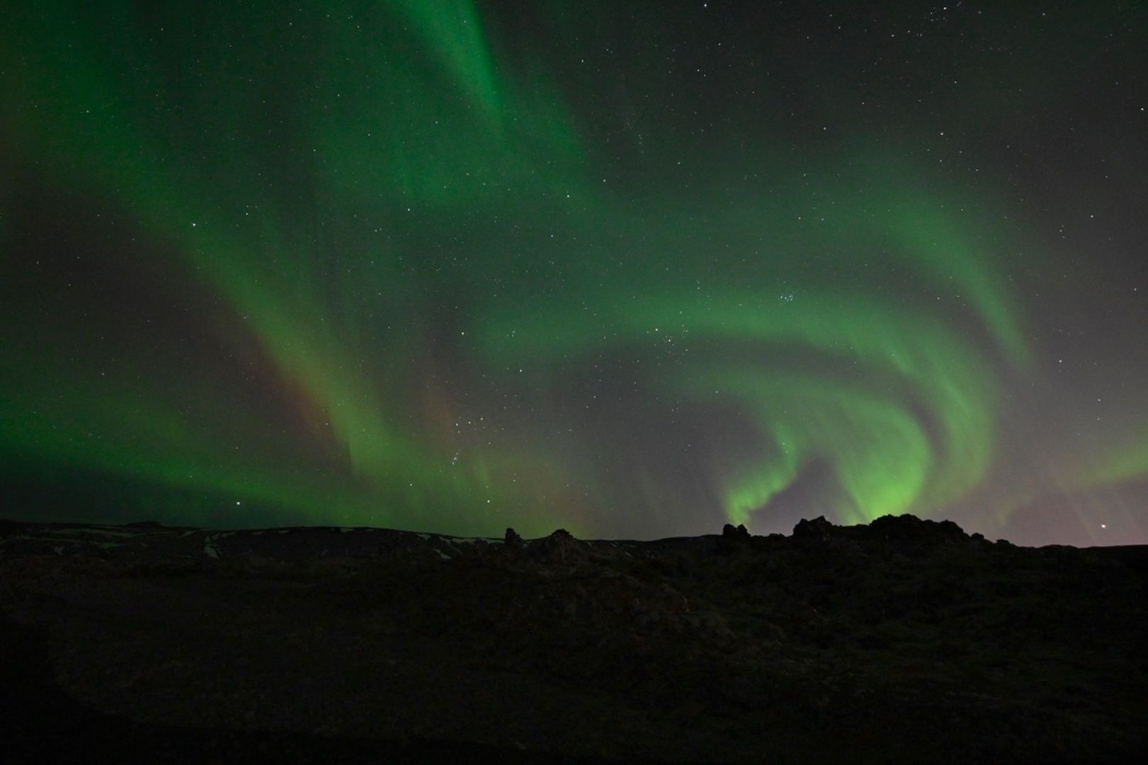 Nature's Display - Heather Connolly