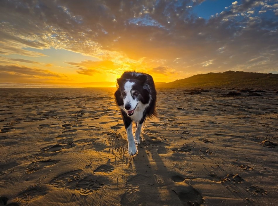 Sunset Walk - Michael Selge