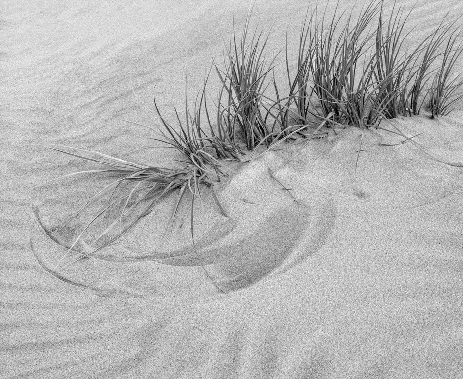 Wind Directions - Kerry Malec