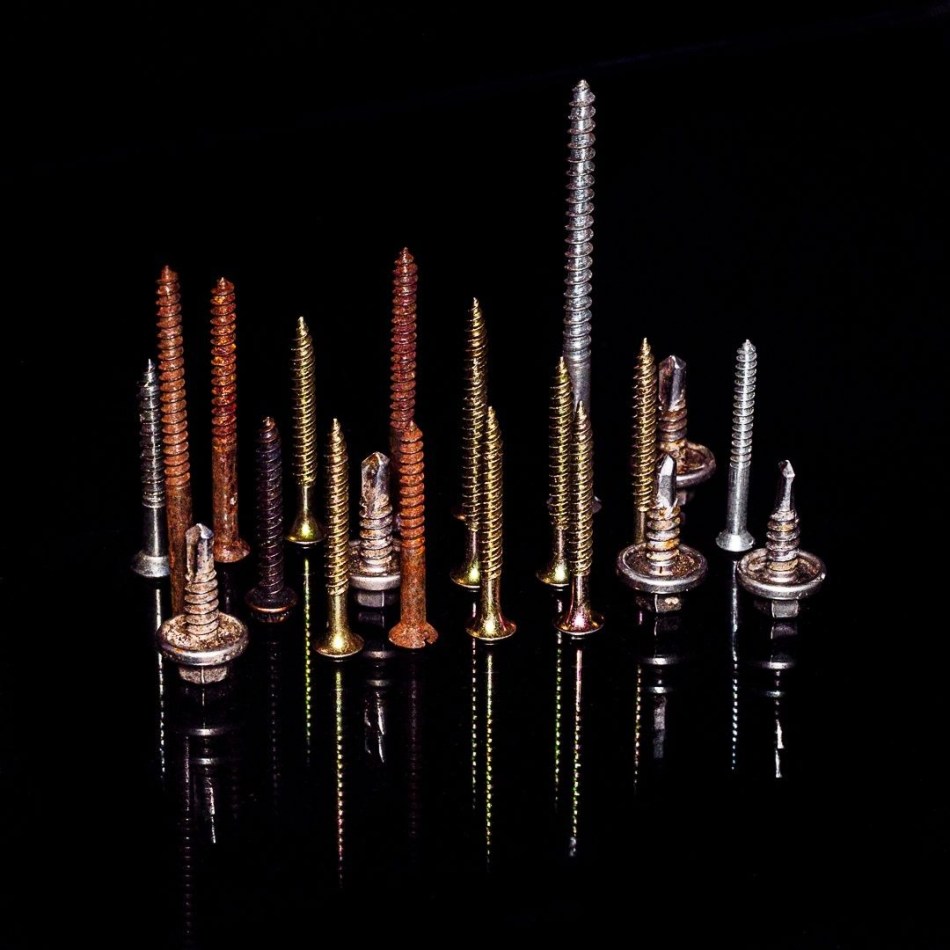 Screws - Judy Sara