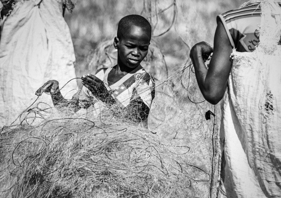 Untangling the Nets - Judy Sara