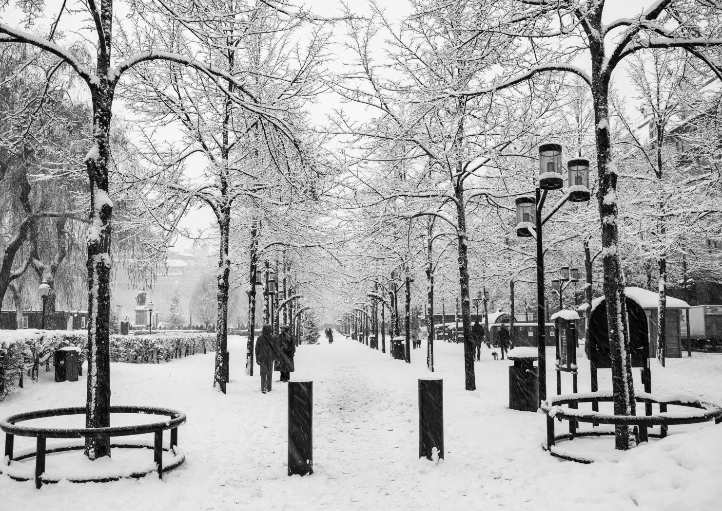 Winter Wonderland - Michael Selge