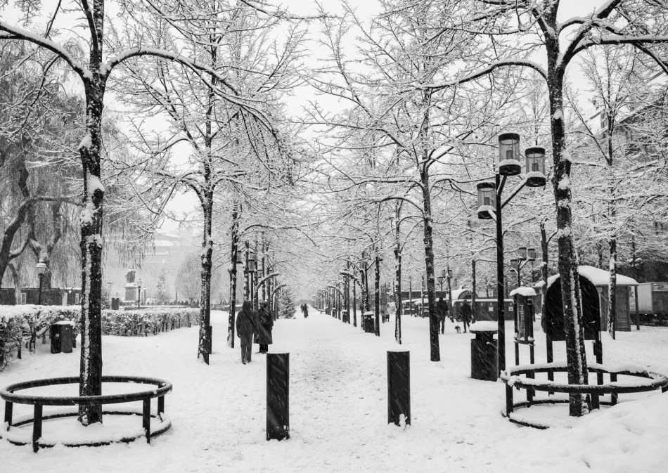 Winter Wonderland - Michael Selge