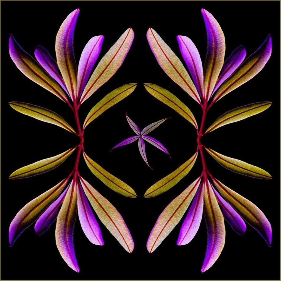 Light Painted Abstract - Kerry Malec
