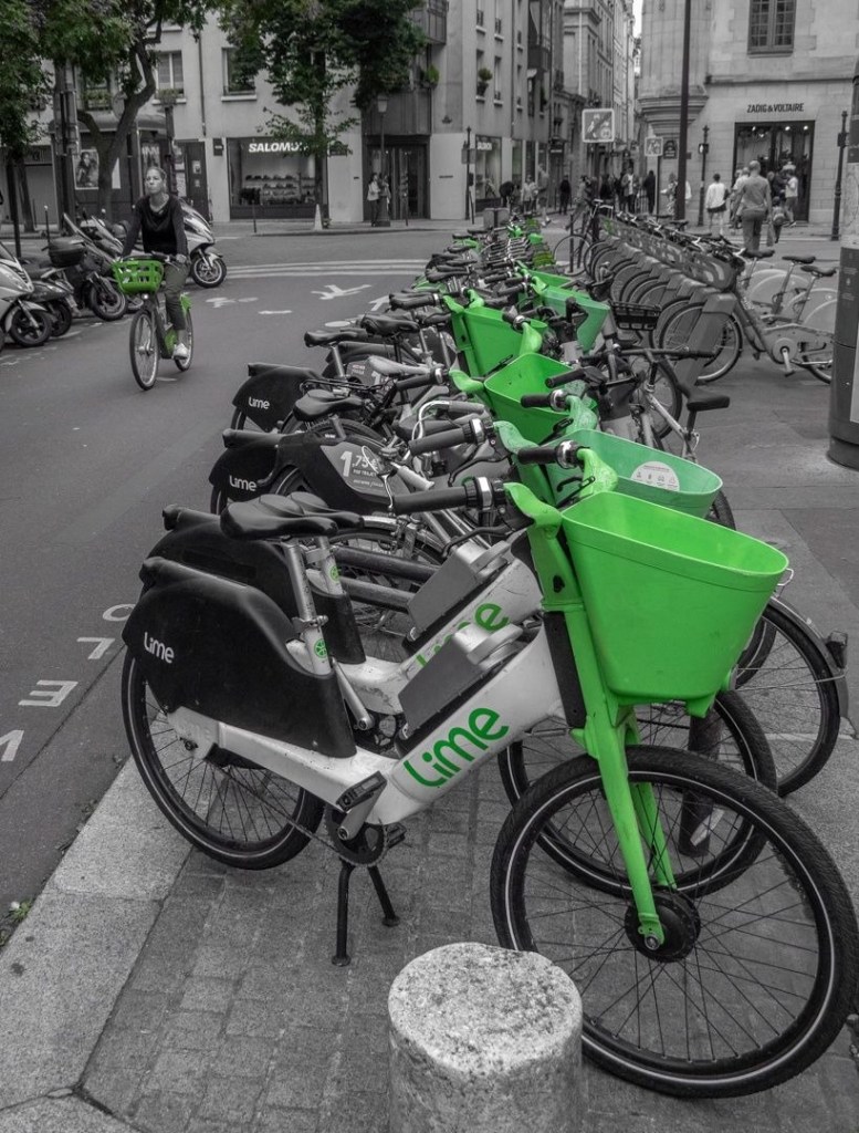 Going Green - Meredith Retallack