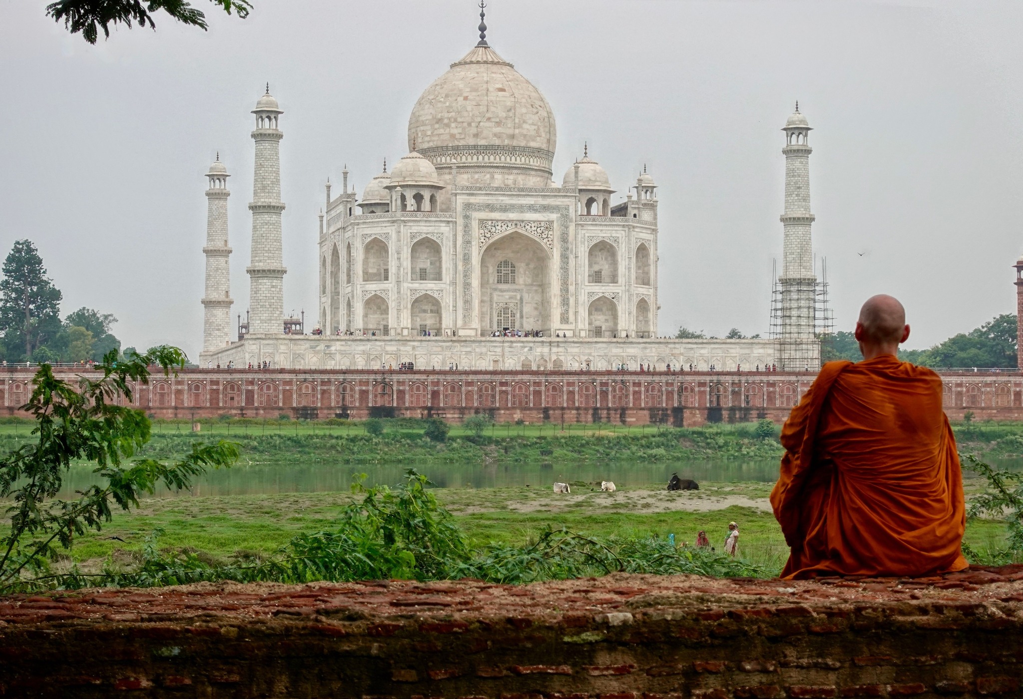 Paul Rix - Monk at the Taj Mahal